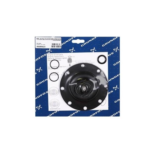 Kit, pump maint/226-250/V/G Dosing Pump Kits - Chemical Metering Pumps